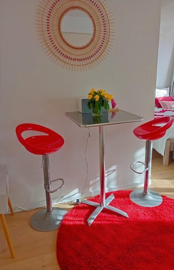 Appartement Romantique Et Jacuzzi , Blagnac 10 Min De Toulouse Apartment Blagnac
